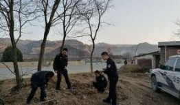 甘肃西和县爆料事件最新,揭开乡村乱象背后的真相