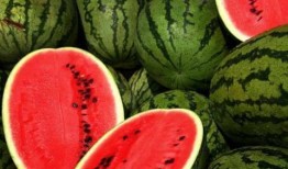 吃瓜网红故事梗概怎么写